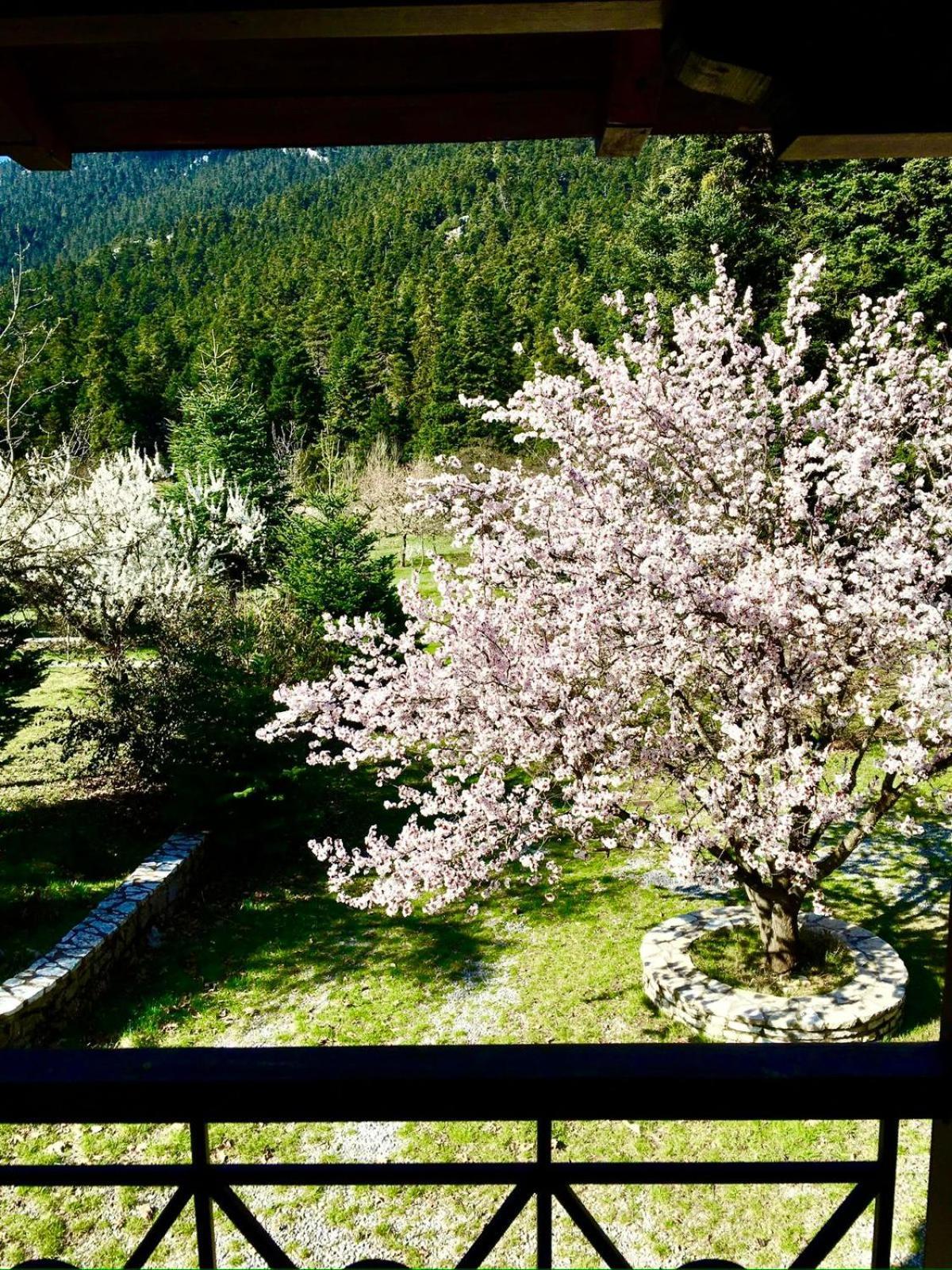 Alpine Escape Maisonette By Alure